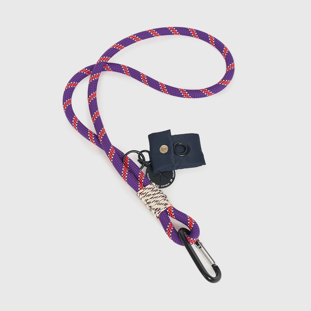 DOG – nomadis